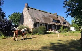 Chaumière authentique